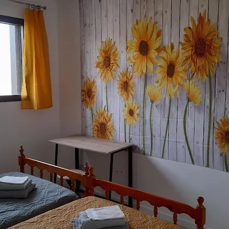 Villa Ginkgo-955 Avec Spa Privatif Albi Extérieur photo